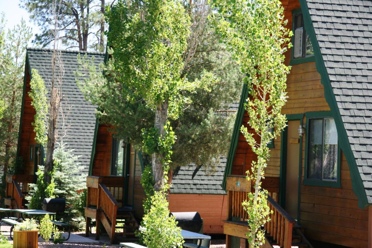 Hotel Cabins On Strawberry Hill Pine Zewnętrze zdjęcie